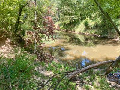 7.5 Acres On Buck Creek In Kiamichi Wilderness For Sale - image 17