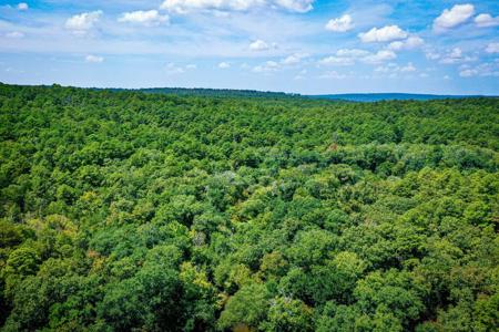 7.5 Acres On Buck Creek In Kiamichi Wilderness For Sale - image 5