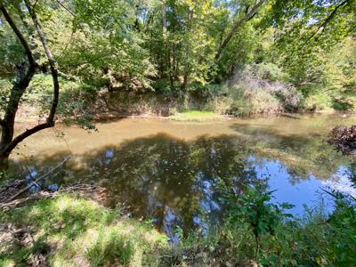 7.5 Acres On Buck Creek In Kiamichi Wilderness For Sale - image 22