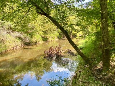 7.5 Acres On Buck Creek In Kiamichi Wilderness For Sale - image 16