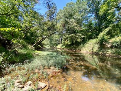 7.5 Acres On Buck Creek In Kiamichi Wilderness For Sale - image 25