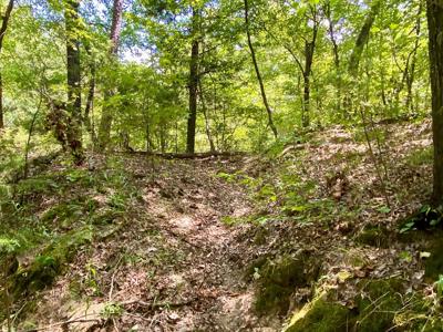 7.5 Acres On Buck Creek In Kiamichi Wilderness For Sale - image 36