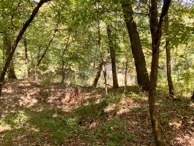 7.5 Acres On Buck Creek In Kiamichi Wilderness For Sale - image 11