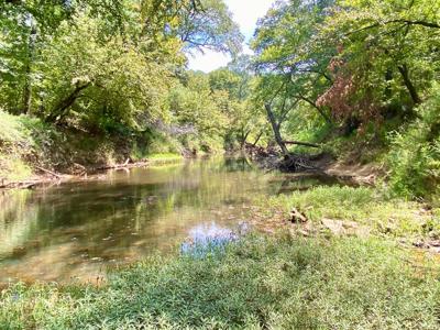 7.5 Acres On Buck Creek In Kiamichi Wilderness For Sale - image 32