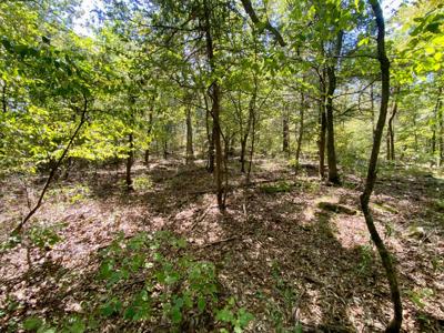 7.5 Acres On Buck Creek In Kiamichi Wilderness For Sale - image 42