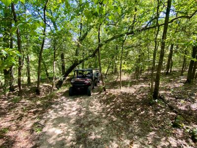 7.5 Acres On Buck Creek In Kiamichi Wilderness For Sale - image 40