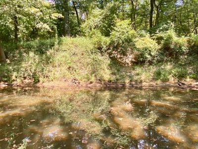 7.5 Acres On Buck Creek In Kiamichi Wilderness For Sale - image 31