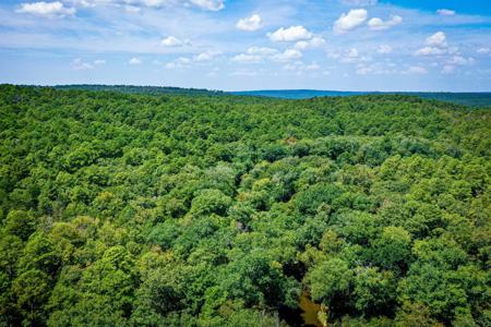 7.5 Acres On Buck Creek In Kiamichi Wilderness For Sale - image 6