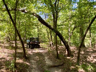 7.5 Acres On Buck Creek In Kiamichi Wilderness For Sale - image 10