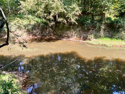 7.5 Acres On Buck Creek In Kiamichi Wilderness For Sale - image 15