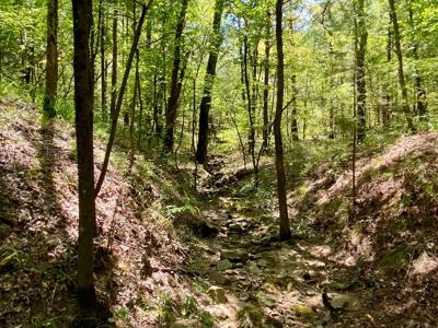 7.5 Acres On Buck Creek In Kiamichi Wilderness For Sale - image 35