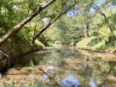 7.5 Acres On Buck Creek In Kiamichi Wilderness For Sale - image 30