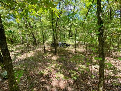 7.5 Acres On Buck Creek In Kiamichi Wilderness For Sale - image 44