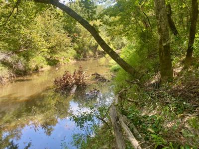 7.5 Acres On Buck Creek In Kiamichi Wilderness For Sale - image 19