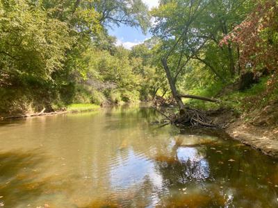 7.5 Acres On Buck Creek In Kiamichi Wilderness For Sale - image 23