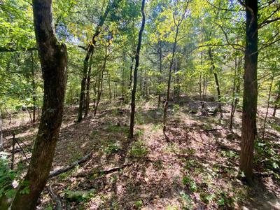 7.5 Acres On Buck Creek In Kiamichi Wilderness For Sale - image 39