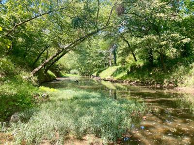 7.5 Acres On Buck Creek In Kiamichi Wilderness For Sale - image 24