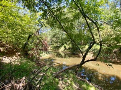 7.5 Acres On Buck Creek In Kiamichi Wilderness For Sale - image 21