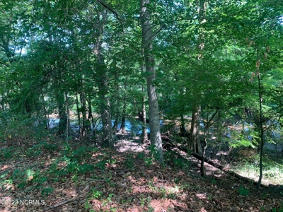 Riverfront Lot for Sale in Valley Landing in Greenville - image 6