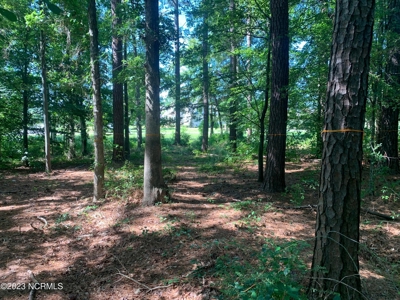 Riverfront Lot for Sale in Valley Landing in Greenville - image 4