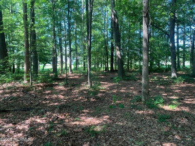 Riverfront Lot for Sale in Valley Landing in Greenville - image 8