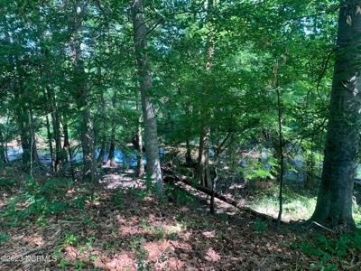 Riverfront Lot for Sale in Valley Landing in Greenville - image 7