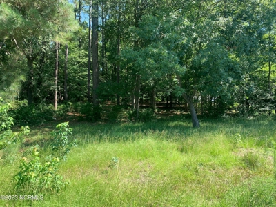 Riverfront Lot for Sale in Valley Landing in Greenville - image 2