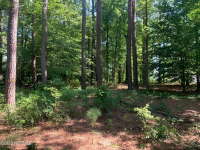 Riverfront Lot for Sale in Valley Landing in Greenville - image 3