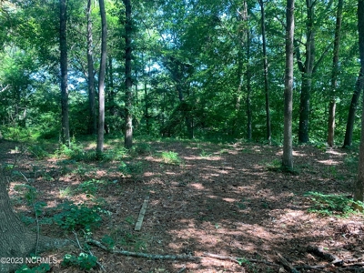 Riverfront Lot for Sale in Valley Landing in Greenville - image 5
