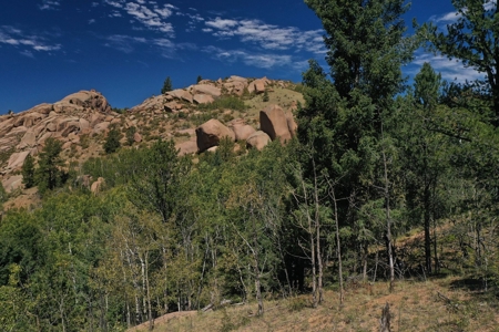 Colorado Rocky Mountain Aspen Oasis with Incredible Views - image 6