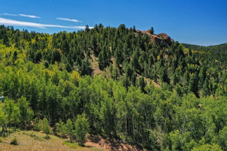 Colorado Rocky Mountain Aspen Oasis with Incredible Views - image 17