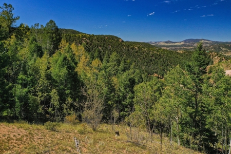 Colorado Rocky Mountain Aspen Oasis with Incredible Views - image 7