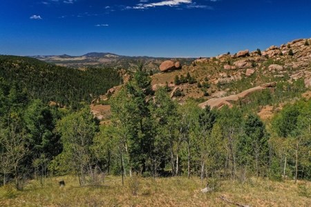 Colorado Rocky Mountain Aspen Oasis with Incredible Views - image 1