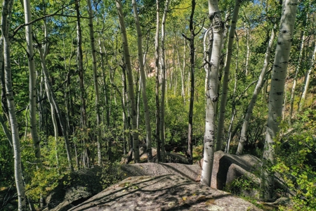 Colorado Rocky Mountain Aspen Oasis with Incredible Views - image 8