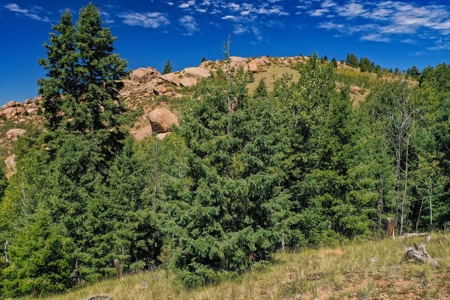 Colorado Rocky Mountain Aspen Oasis with Incredible Views - image 4