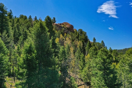 Colorado Rocky Mountain Aspen Oasis with Incredible Views - image 27