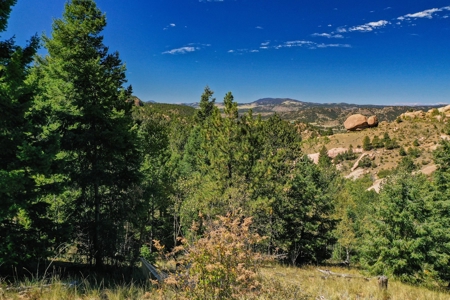 Colorado Rocky Mountain Aspen Oasis with Incredible Views - image 2