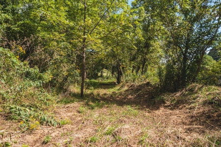 Offering #2 - Land for Sale on the Little River in Riner VA - image 3