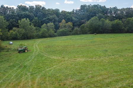 Offering #2 - Land for Sale on the Little River in Riner VA - image 9