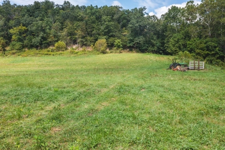 Offering #2 - Land for Sale on the Little River in Riner VA - image 7