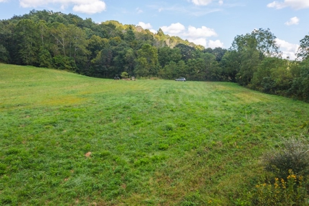 Offering #2 - Land for Sale on the Little River in Riner VA - image 12