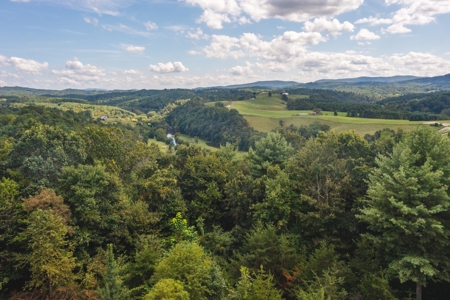 Offering #3 - Wooded Recreational Land for Sale in Riner VA - image 3