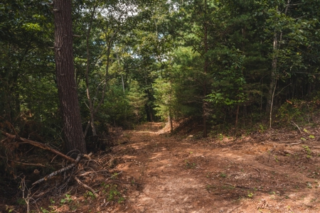Offering #3 - Wooded Recreational Land for Sale in Riner VA - image 1