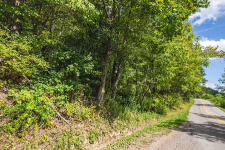 Offering #3 - Wooded Recreational Land for Sale in Riner VA - image 12