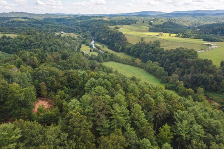 Offering #3 - Wooded Recreational Land for Sale in Riner VA - image 10