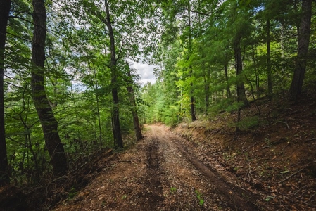 Offering #3 - Wooded Recreational Land for Sale in Riner VA - image 22