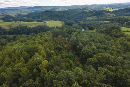 Offering #3 - Wooded Recreational Land for Sale in Riner VA - image 7