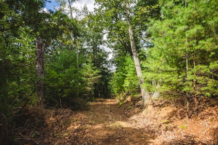 Offering #3 - Wooded Recreational Land for Sale in Riner VA - image 17
