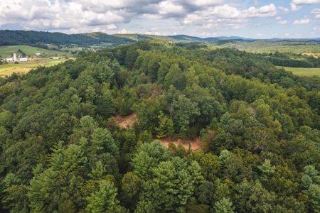 Offering #3 - Wooded Recreational Land for Sale in Riner VA - image 4