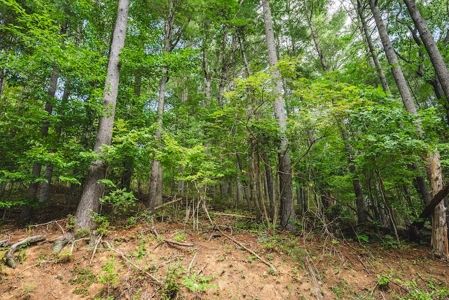 Offering #3 - Wooded Recreational Land for Sale in Riner VA - image 31